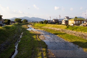 IMG_9962