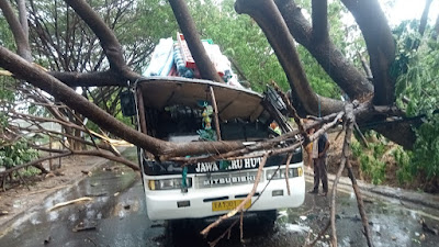 Bus PO Jawa Baru Tujuan Hu'U Tertimpa Pohon Tumbang