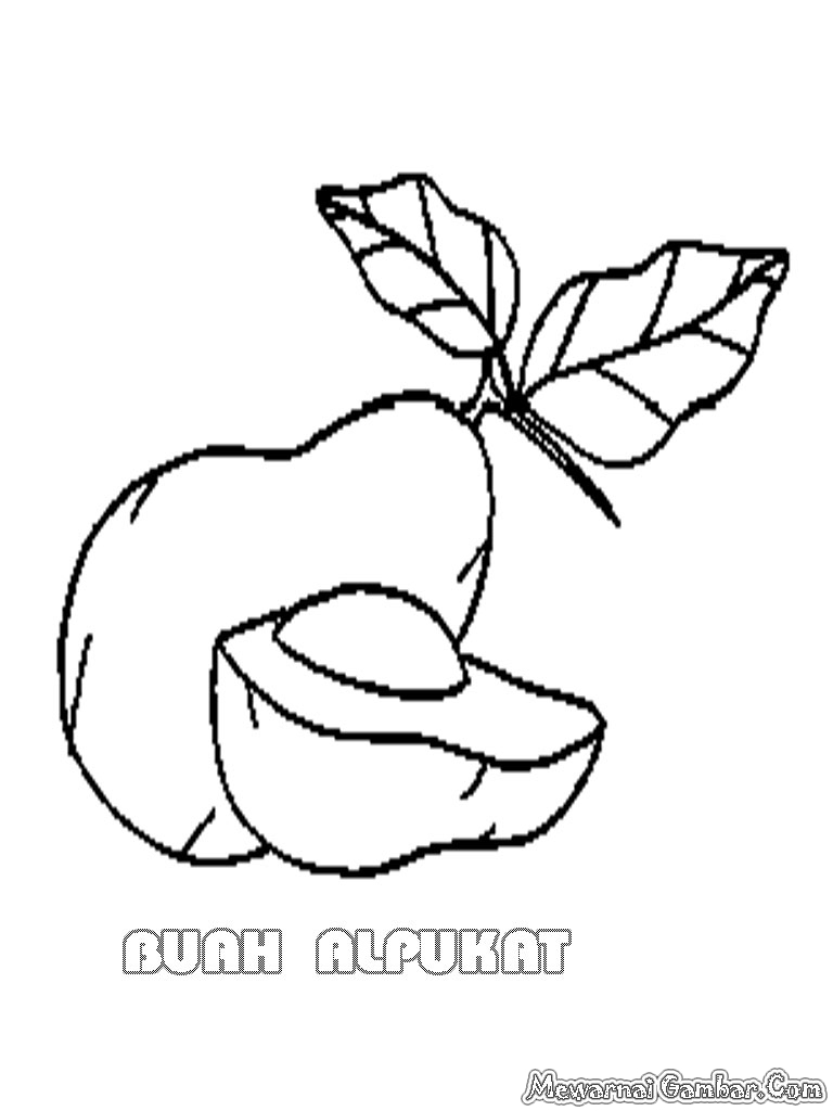  Gambar  Mewarnai Buah Alpukat  Gratis Mewarnai Gambar 