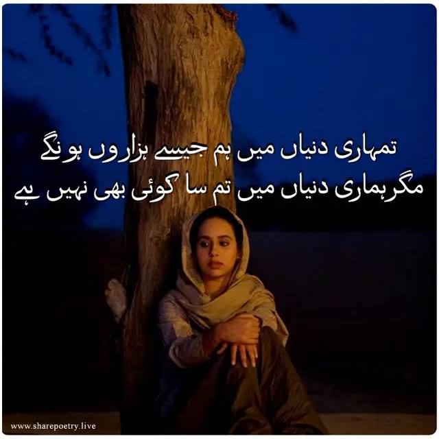 Sad Poetry In Urdu 2022