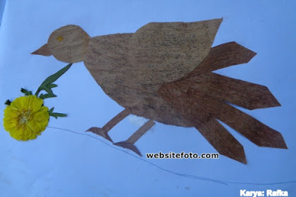 websitefoto.com