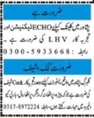 Latest Private Company Management Posts Peshawar 2022 Private Company invites applications for job positions advertised in daily Mashriq dated 29 March 2022 for following vacancies in Peshawar, peshawar Khyber Pakhtunkhwa KPK Pakistan. lady health visitor echo technician cook chef and lhv  Middle, Intermediate and Matric etc. educational qualification will be preferred.  Private Company latest Classifieds Management jobs and others can be applied till April 23, 2022 or as per closing date in newspaper ad. Read complete ad online to know how to apply on latest Private Company job opportunities.