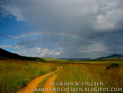 Rainbow over the road