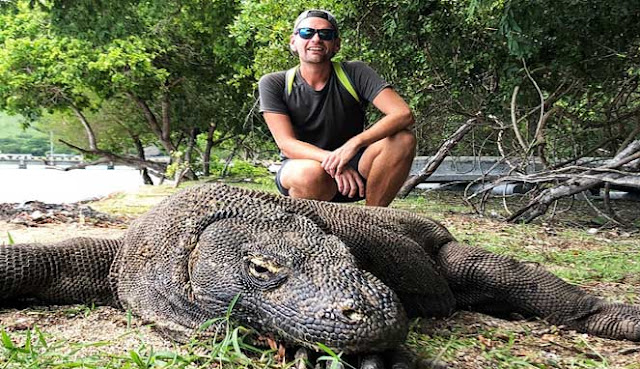 Komodo di Pulau Rinca