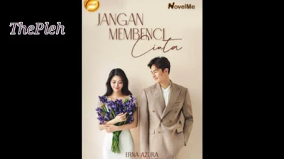 Novel Jangan Membenci Cinta