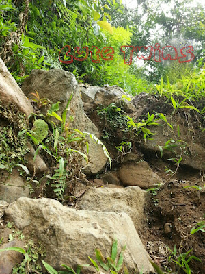 Jalur menuju Wisata Air Terjun Tancak Jember