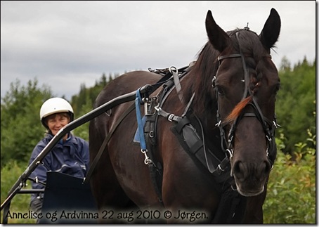 2010-travbanen-22aug_01