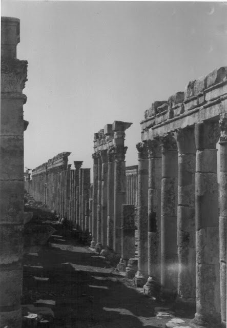 Apamea. Colonnato