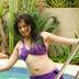 Lakshmi Rai Hot in Purple Bikini in Swimming Pool