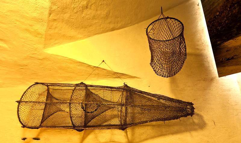 fishing nets with fish. Fishing nets. The fish swims