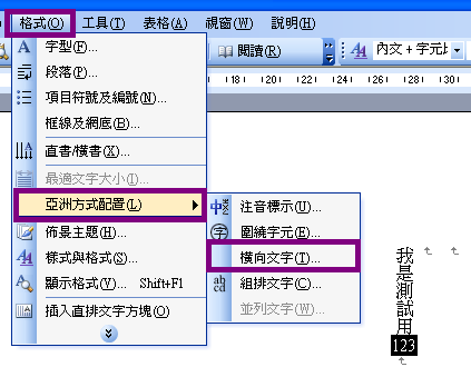 藍色小威 Word 中文直式數字橫式