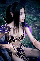 World Of Warcraft Cosplay Girls 16