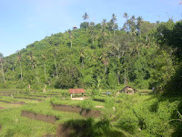 Ulun Subak Bukit Jati Temple - Liong Guide