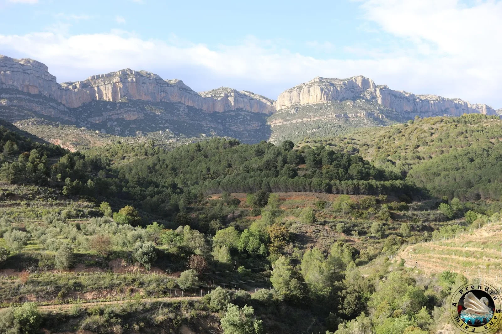 Le vignoble d'Alvaro Palacios : admirer les paysages à l'origine de son vin L'Ermita