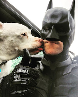 Hombre disfrazado de Batman salva a los animales de refugio de la eutanasia