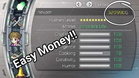 Best strategy to earn money in Harvest Moon: Innocent Life