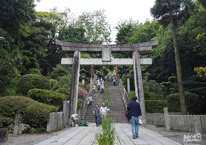 宮地嶽神社、福岡