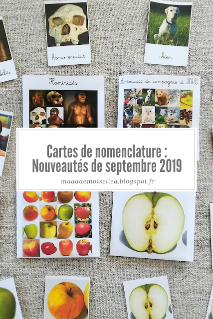 Cartes de nomenclature : Nouveautés de septembre 2019 - Hominidés, Animaux de compagne et NAC, Pommes, Anatomie de la pomme