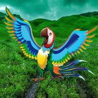 Wow Macaw Mountain Valley Escape