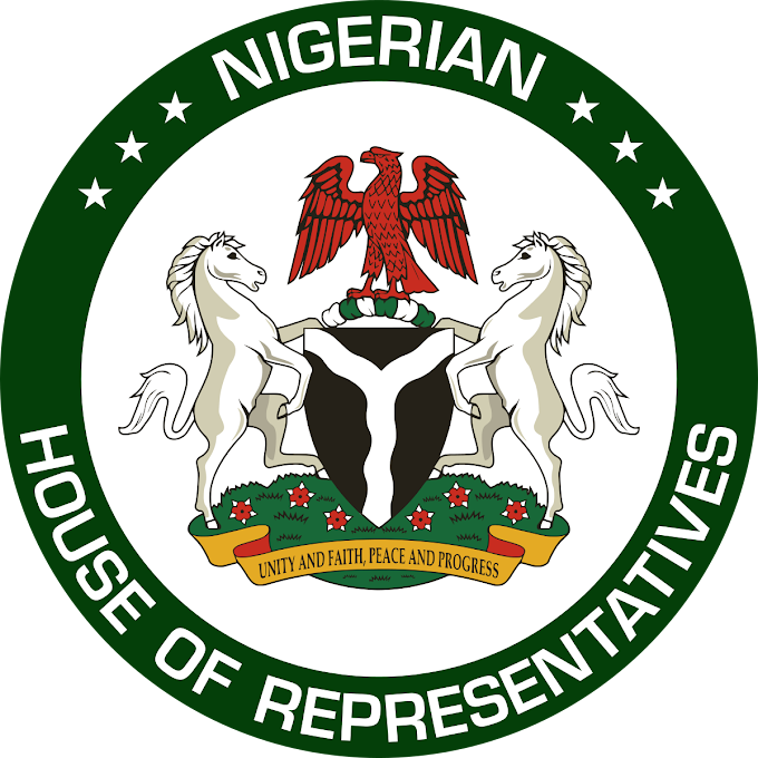 House of Reps Calls For Inclusion Of PWDs In Poverty Alleviation Programmes