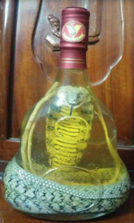 snake wine, vietnamese snake wine