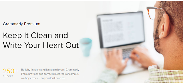 Grammarly premium features