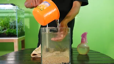 cara-memasukkan-air-dalam-aquascape cara-memasukkan-air-dalam-aquascape