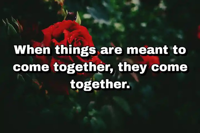 "When things are meant to come together, they come together." ~ Cameron Diaz
