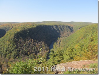 fall 2011 029