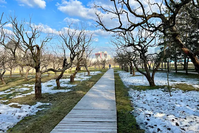 ВДНХ, Мичуринский сад