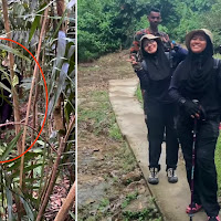 Anggota bomba selamatkan dua wanita sesat, tak jumpa jalan keluar ketika daki Bukit Broga