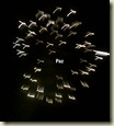 luzes