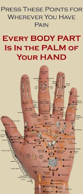 Press These Points For Wherever You Have Pain – Every Body Part Is In The Palm Of Your Hand