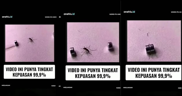 Video Bunuh Nyamuk Pakai Dua Magnet Ini Bikin Puas
