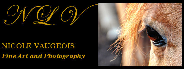Nicole Vaugeois Fine Art and Photography