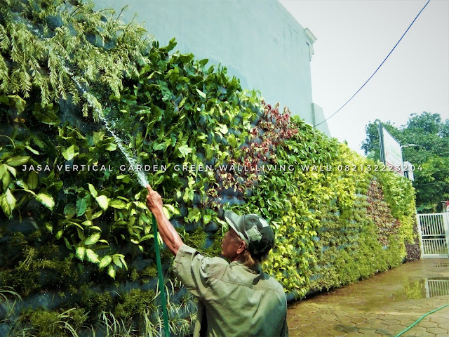 JASA PEMBUATAN VERTICAL GARDEN MALANG, JASA VERTICAL GARDEN MALANG, JASA TUKANG TAMAN VERTICAL MALANG, JASA PEMBUATAN DINDING HIDUP MALANG, JASA PEMBUATAN DINDING HIJAU MALANG, roof garden murah, roof garden design, roof garden minimalis, roof garden sederhana, roof garden detail, roof garden medan, roof garden semarang, drainasecell roof garden, versicel roof garden, roof garden indonesia, roof garden MALANG, roof garden system, roof garden, roof garden adalah, drainasecell, versicell, alat roof garden, cara membuat roof garden, peralatan roof garden, roof top, top roof garden, taman dak atas, cara membuat taman dak, taman atap roof garden, taman roof garden, roof garden apartment, tukang taman vertikal, vertikal garden murah, vertikal garden sederhana, taman vertikal dari botol bekas, taman vertikal murah, taman vertikal rumah minimalis, taman vertikal adalah, taman vertikal dalam rumah, taman vertikal, taman vertikal minimalis, taman vertikal anggrek, taman vertikal botol, taman vertikal di bandung, taman vertikal menggunakan botol bekas, taman vertikal dari batu bata, biaya taman vertikal, buat taman vertikal, contoh taman vertikal, cara taman vertikal, contoh taman vertikal garden, taman vertikal di rumah, taman vertikal di lahan sempit, taman vertikal di dinding, taman vertikal dinding, taman vertikal dengan paralon, taman vertikal depok, fungsi taman vertikal, foto taman vertikal, taman vertikal garden, taman gantung vertikal, gambar taman vertikal minimalis, cara membuat taman vertikal garden, gambar taman vertikal, griya taman vertikal, desain taman vertikal garden, taman vertikal hidroponik, taman vertikal harga, harga taman vertikal murah, taman vertikal indonesia, taman vertikal indoor taman vertikal italia, ide taman vertikal, vertical gardens, vertical gardening, wall garden, green wall, vertical gardening systems, wall planter, indoor vertical planter, planter, wall planters, green walls, greenwall, garden walls, plant wall, wall planters indoor, wall planters for outdoors, vertical blinds, vertical line, vertical farming, vertical integration, vertical angles, vertical radiators, vertical meaning, define vertical,