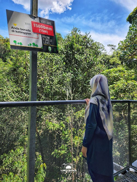 Tree Top Walk Sungai Sedim, Kulim