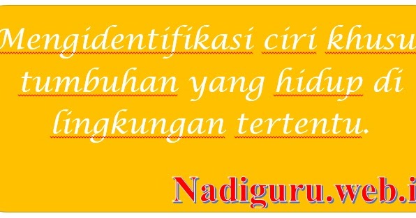 Simak 14 Soal  Dan Pembahasan Anatomi Dan Fisiologi Hewan  