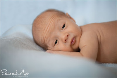 newborn, Virginia photographer, family photographer, poker, black and white, photoblog, portrait photographer, parenting, 