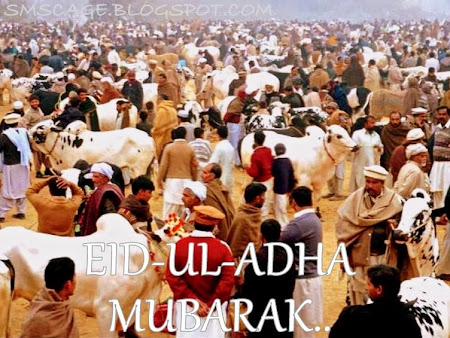 Eid Ul Adha Mubarak Images