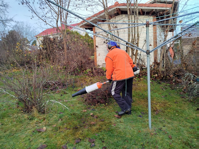 #Lehtikasojen #poistot #Stihl #lehtipuhallin #talikko #harava #pressu#Tilaukset #Talonmiespalvelu@gmail.com #Pihatyöt syksyn #lehdet pois #pihoista pic30