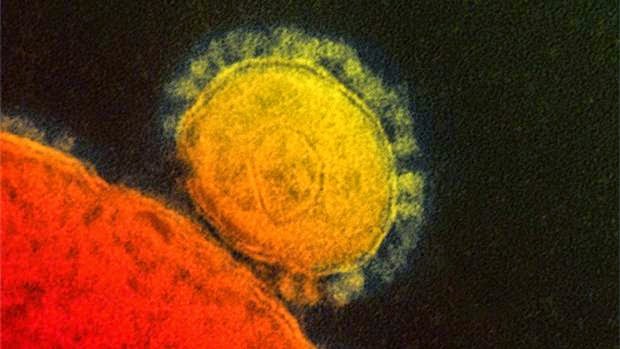  Middle East Respiratory Syndrome (MERS)