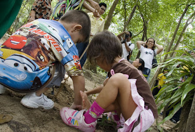 Kids planting a tree at the butterfly release 10th July