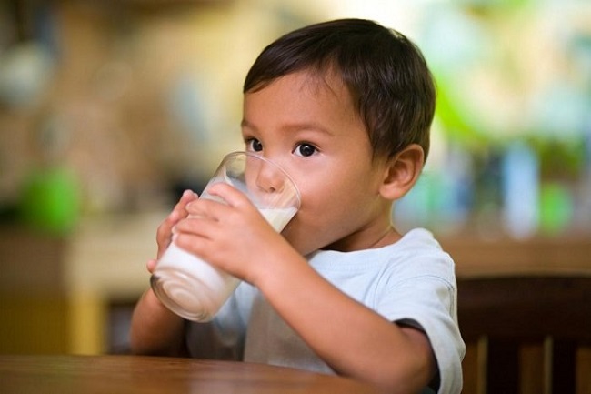 Bé 3 tuổi nên uống sữa tươi hay sữa bột?