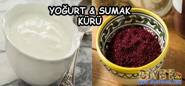 yoğurt kürü tarifleri