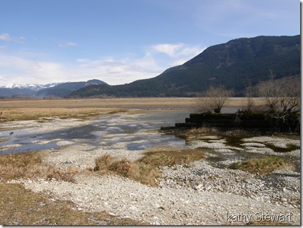 log bay