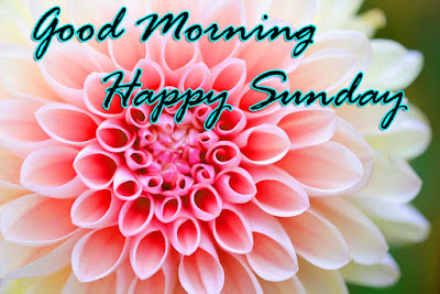 good morning sunday greetings wishes images