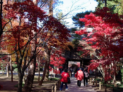 25 ++ 平林寺 紅葉 226902-平林寺 紅葉 ツイッター