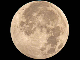 astronomy, full-moon, rabbit, upside down