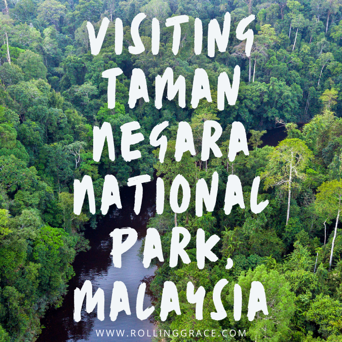 taman Negara National Park Pahang